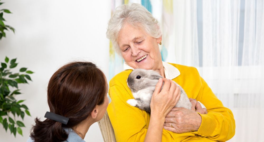 I Benefici della Pet Therapy per gli anziani